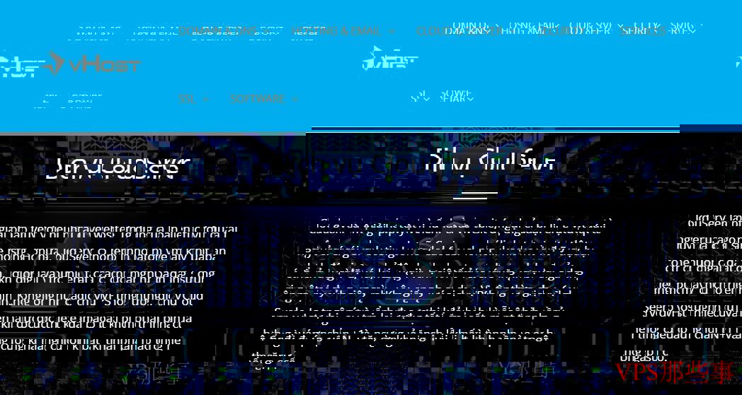 vHost.vn新加坡VPS测评-性能、价格及购买指南