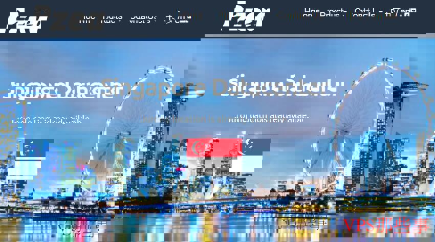 PZEA新加坡VPS测评-性能与性价比分析