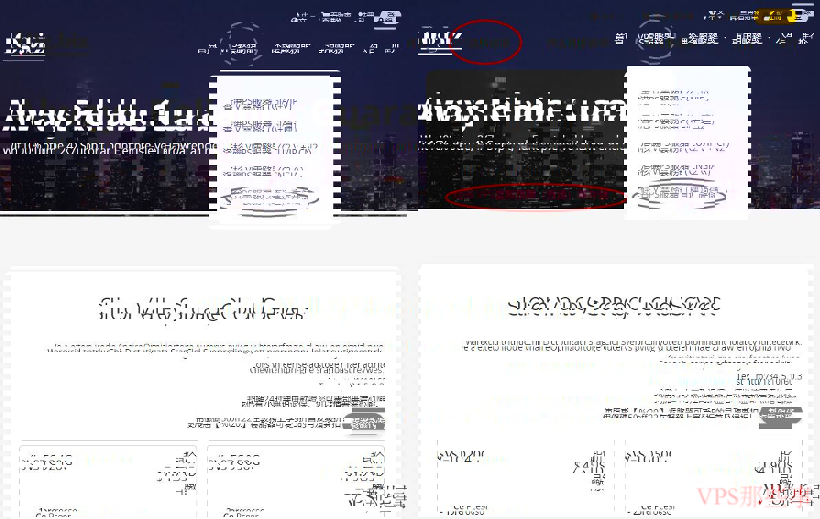 购买10gbiz美国VPS