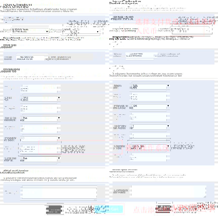 VPB香港VPS产品配置