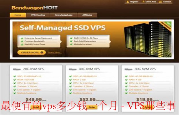 便宜的VPS多少钱一个月？全面解析与推荐
