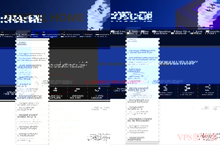 DediPath官网首页