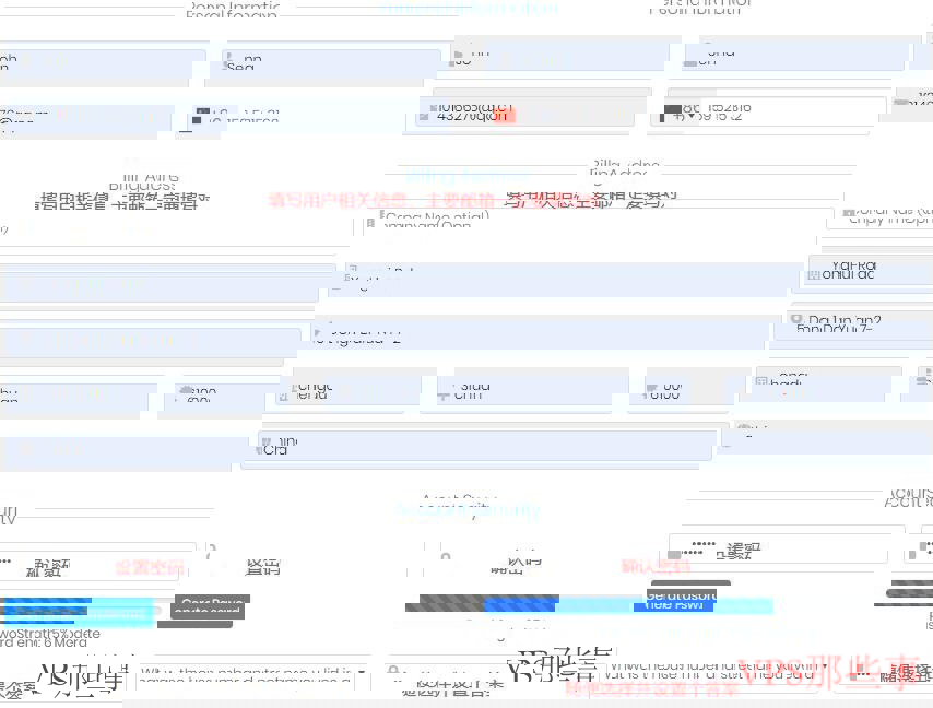 DediPath账户信息填写页