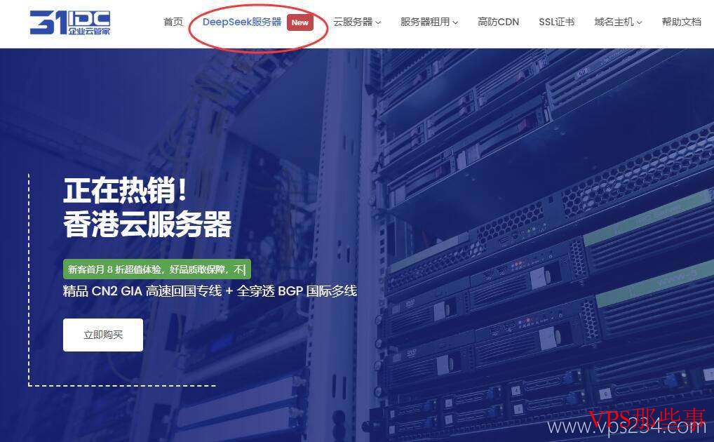 DeepSeek服务器菜单示意图