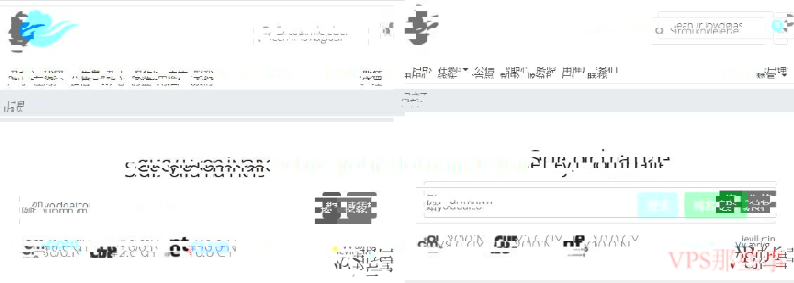 樊云美国高防VPS配置图