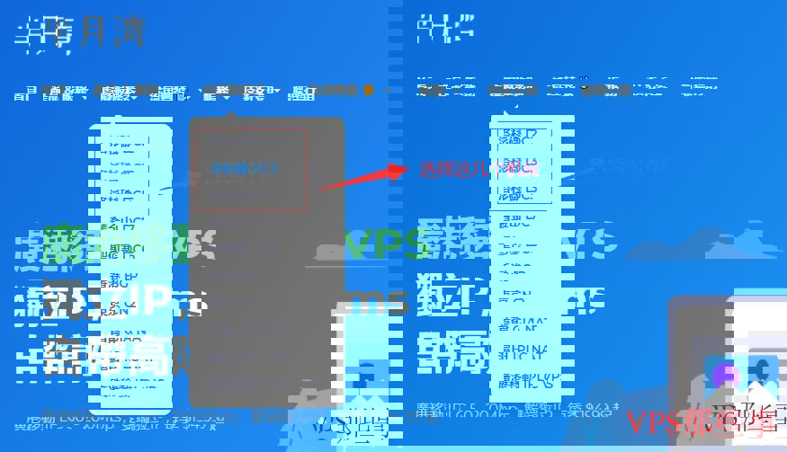 半月湾美国VPS购买入口图示