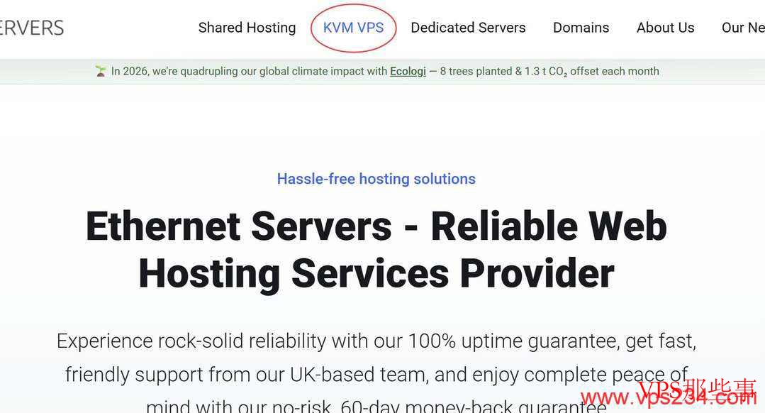 EthernetServers官网KVM VPS菜单