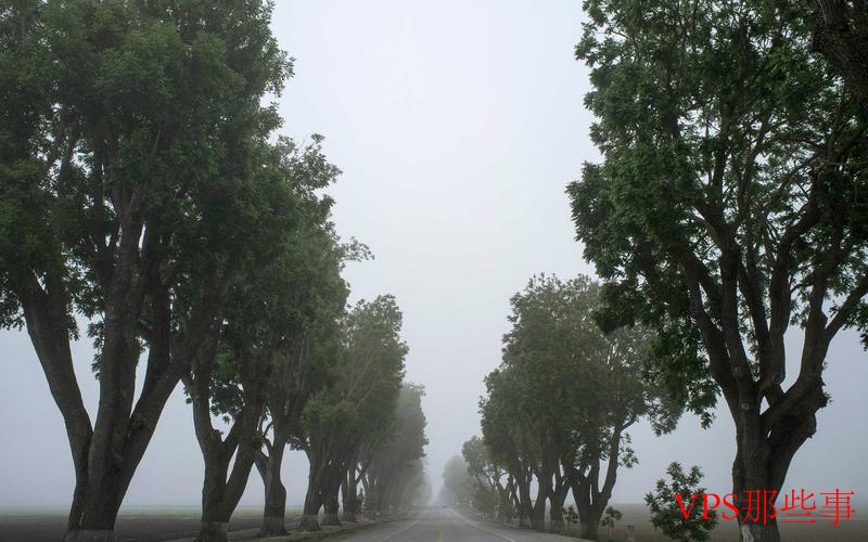 本地Ping与跨区域延迟测试